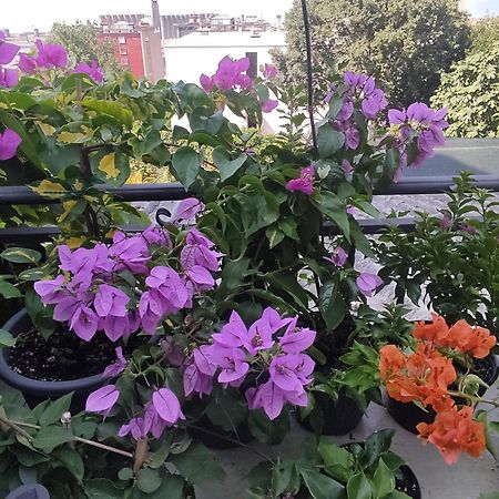 Apartman Bella Vista Rijeka Apartment Bagian luar foto