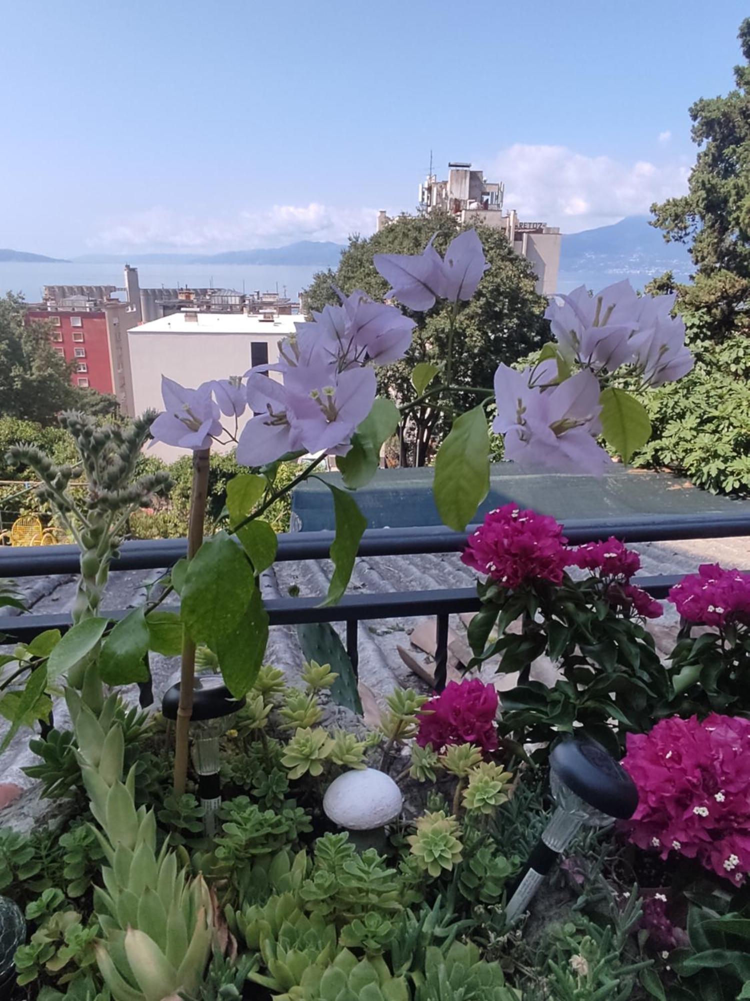 Apartman Bella Vista Rijeka Apartment Bagian luar foto