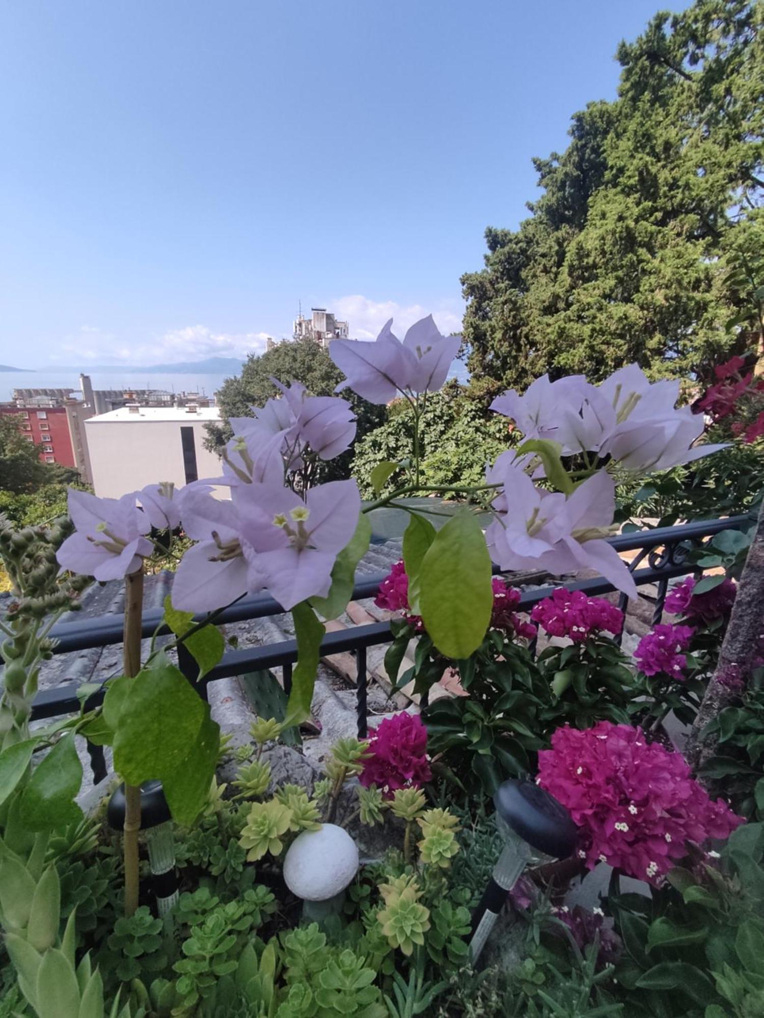 Apartman Bella Vista Rijeka Apartment Bagian luar foto
